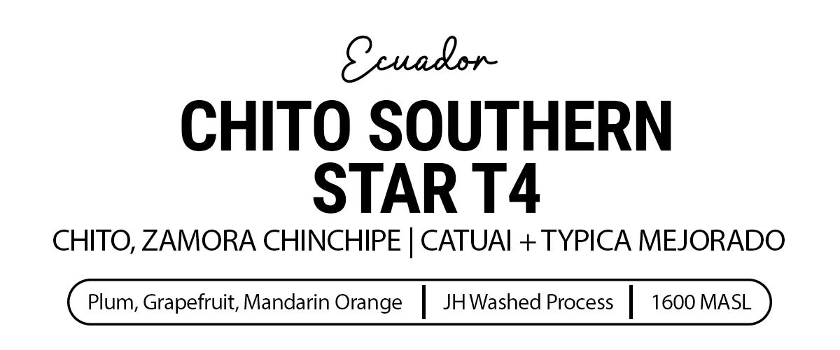 Chito Southern Star T4