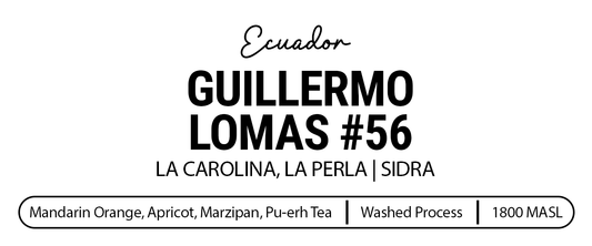 Guillermo Lomas #56